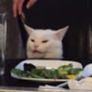 Meet your Posher, Lula